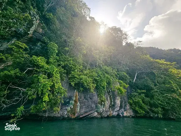 Sunlit rainforest and towering limestone cliffs along the water on Langkawi’s Tanjung Rhu UNESCO Geopark cruise
