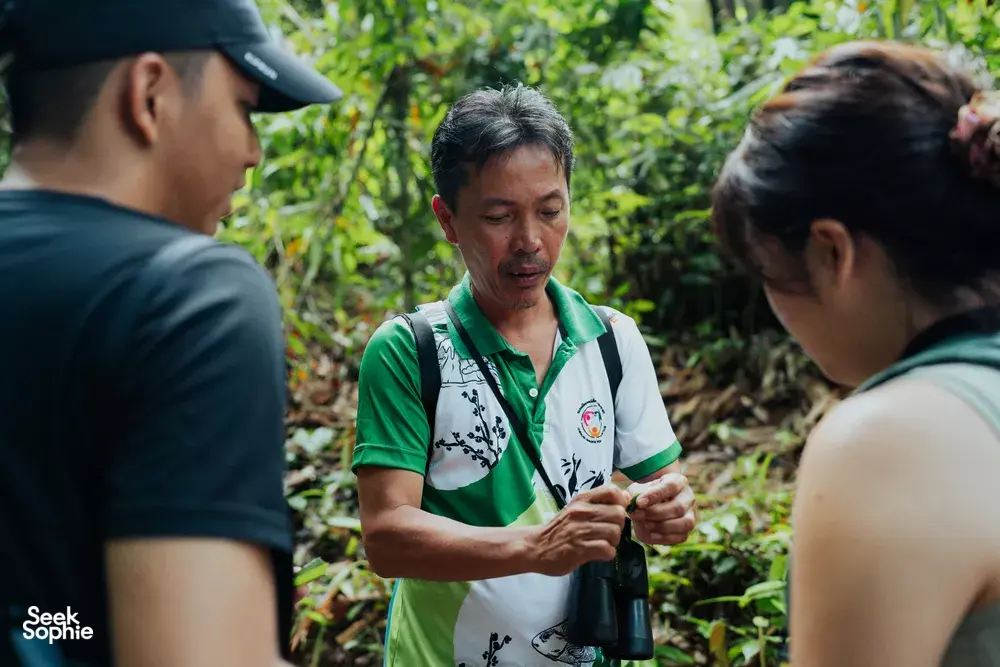 Seek Sophie option picture