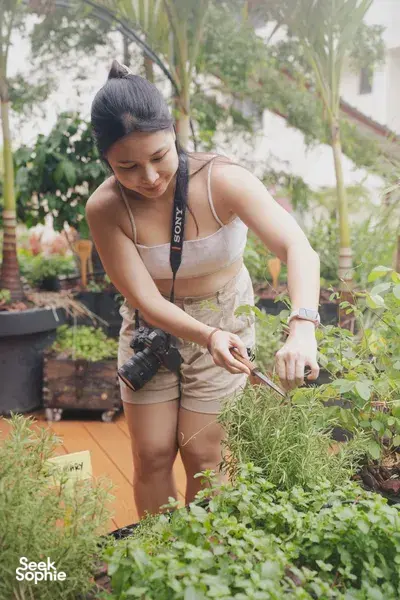 Seru-seruan Membuat Koktail di Tempat Perkebunan Alam yang Tersembunyi