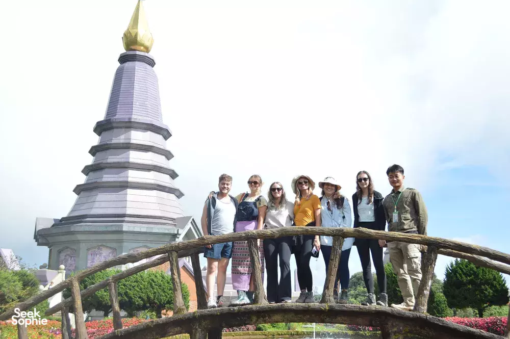 Seek Sophie option picture