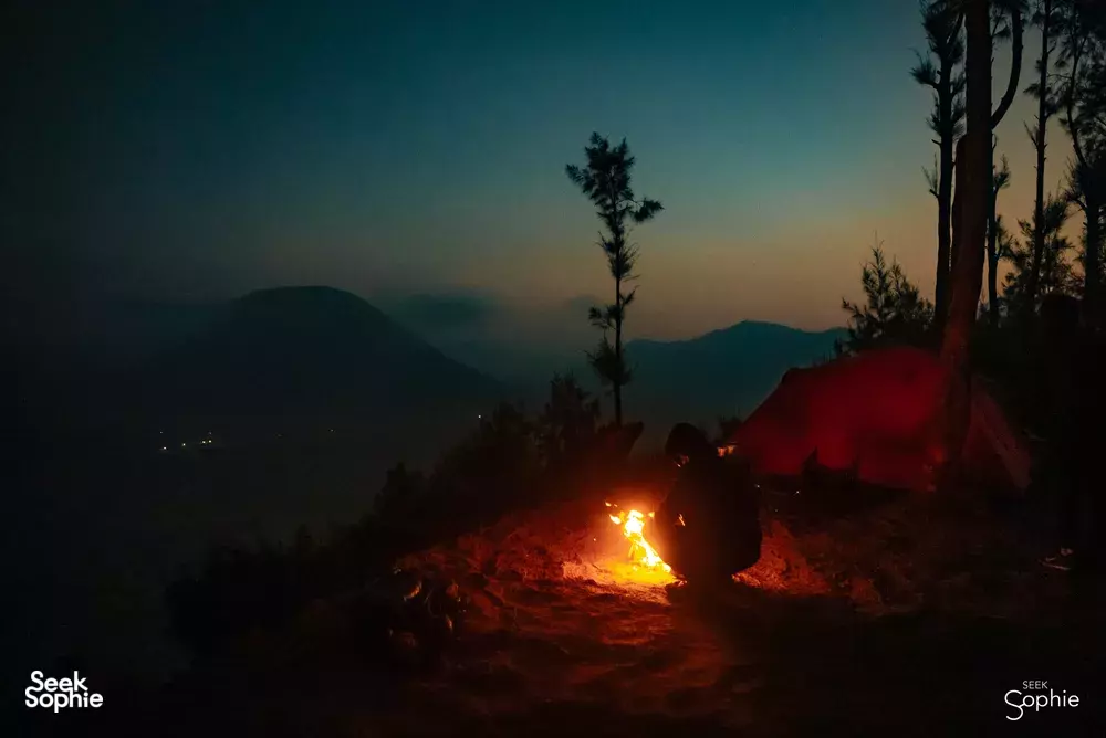 Seek Sophie option picture