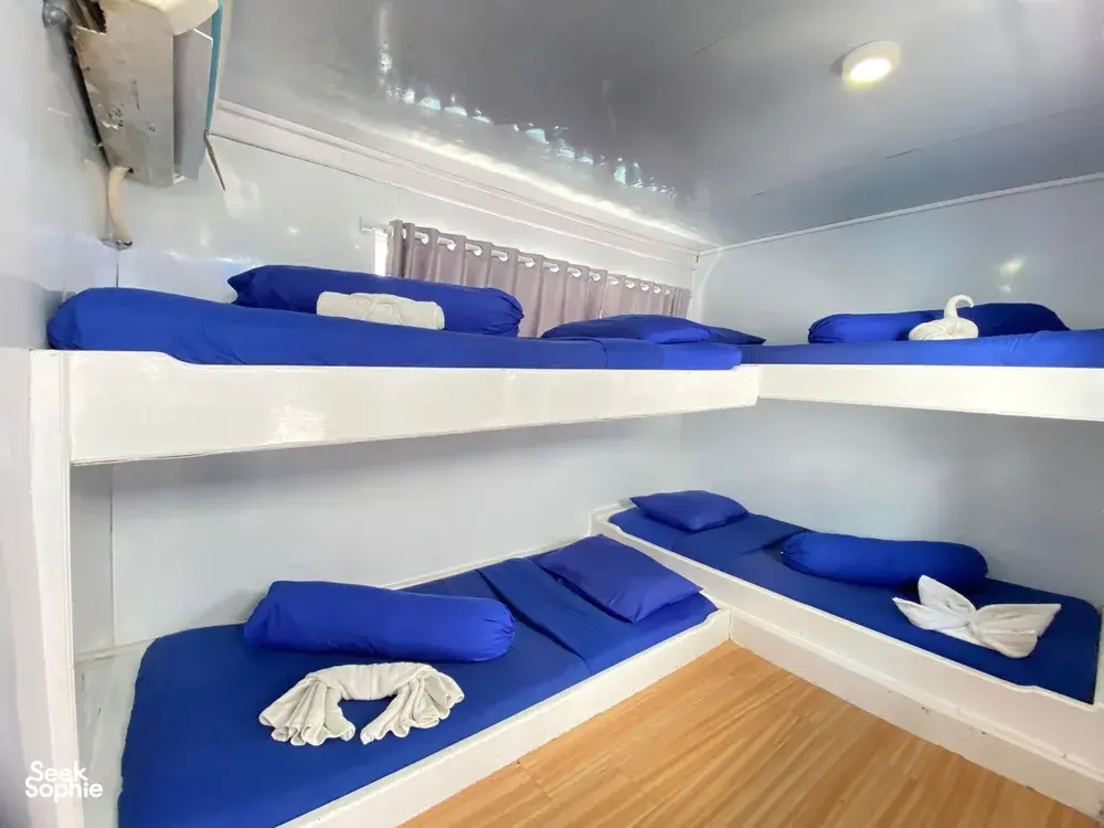 Seek Sophie option picture