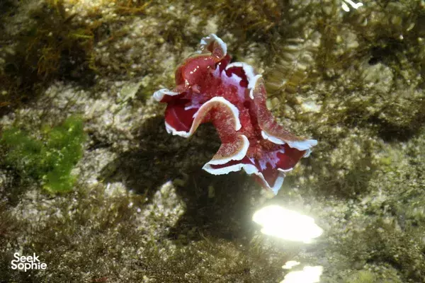 3D2N PADI Open Water Course **with accommodation