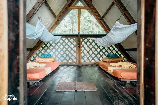 Safari Sungai Kinabatangan 2H1M di Jungle Lodge | Jauh dari Keramaian