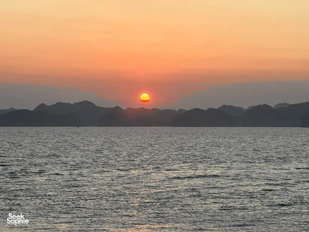 Seek Sophie option picture