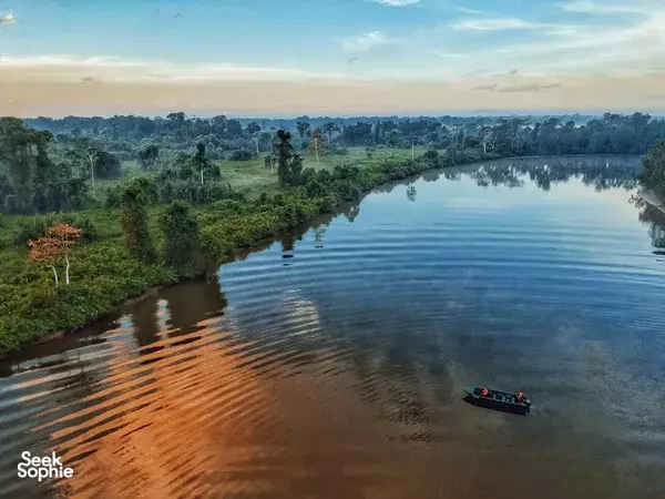 Low aerial view of a small boat gliding over calm rainforest river water at dusk, cruising the Kinabatangan River