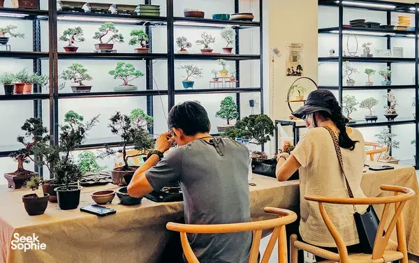 Japanese-Style Tropical Bonsai Workshop
