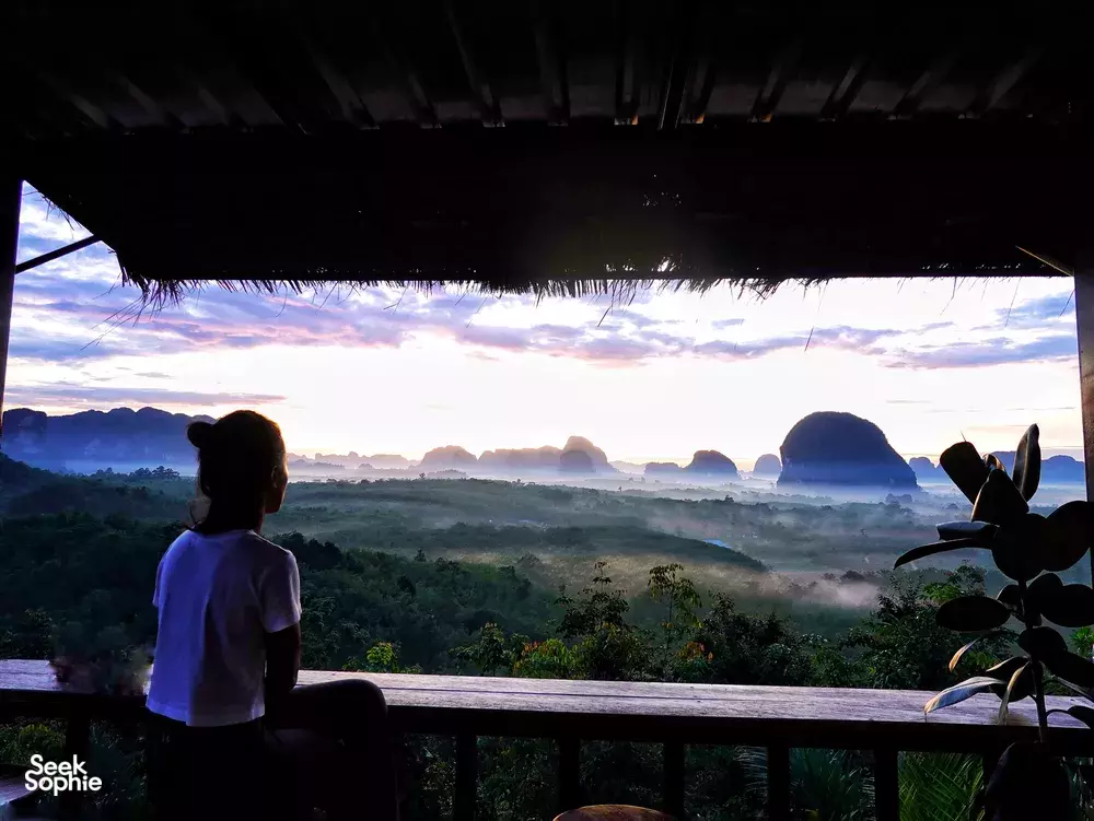 Seek Sophie option picture