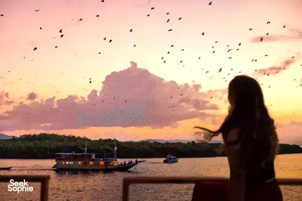 Fruit bats in flight over calm water at sunset with a tour boat in view near Rinca, Labuan Bajo