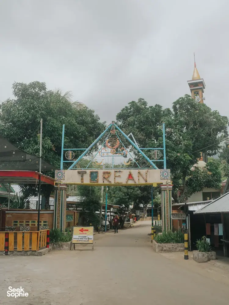 Seek Sophie option picture