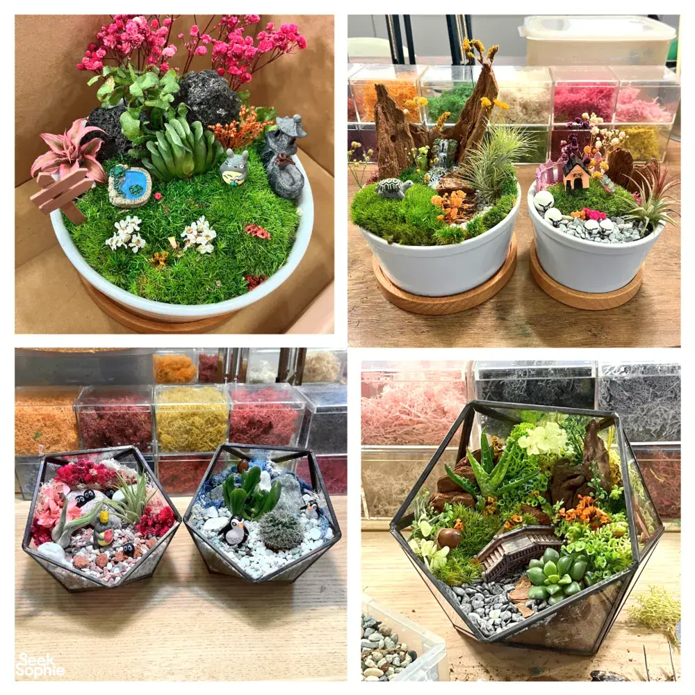 Seek Sophie option picture