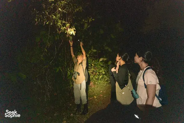 [SOLD OUT] In Search of Singapore's Last Wildcat