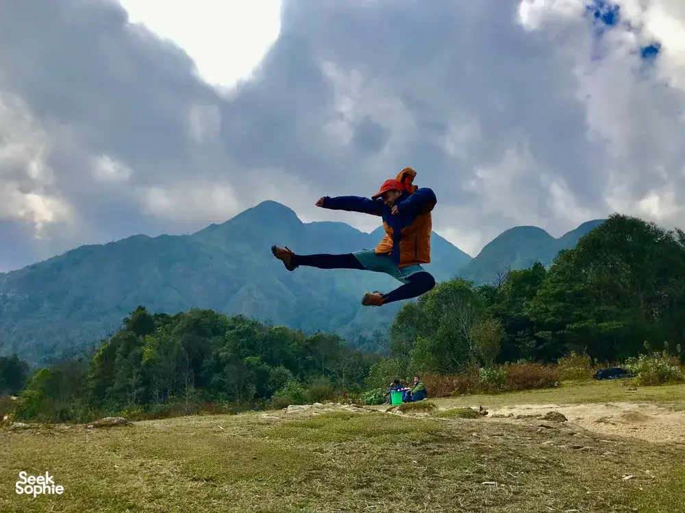 Seek Sophie option picture