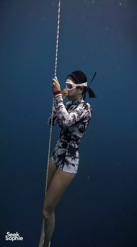 Seek Sophie option picture