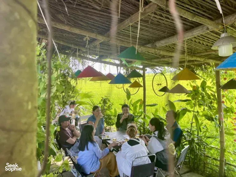 Seek Sophie option picture