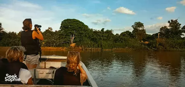 Borneo Big 5: 4D3N Kinabatangan River Safari for Wildlife Lovers