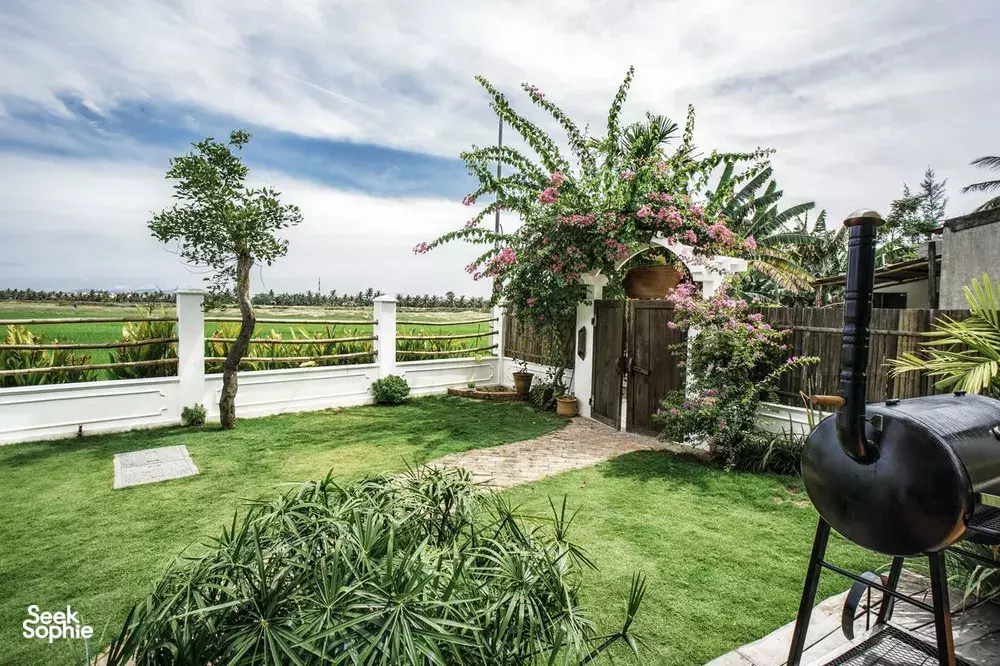 Seek Sophie option picture