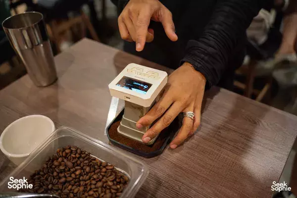 Private Coffee Roasting Workshop with Professional-Grade Equipment