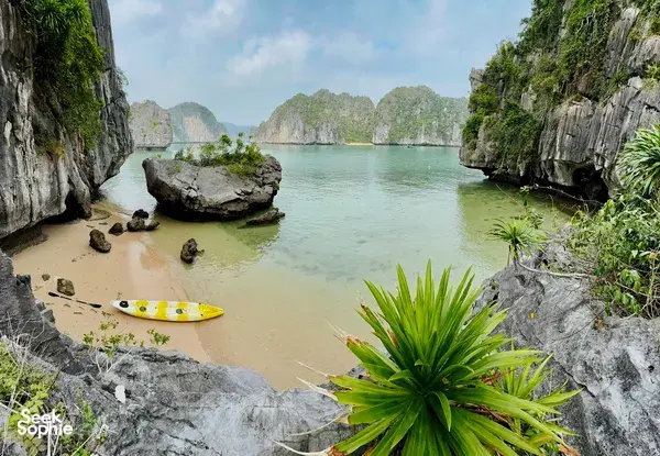 1 Day Hidden Lan Ha Bay | Secret Spots, Crabbing & Seafood Hotpot