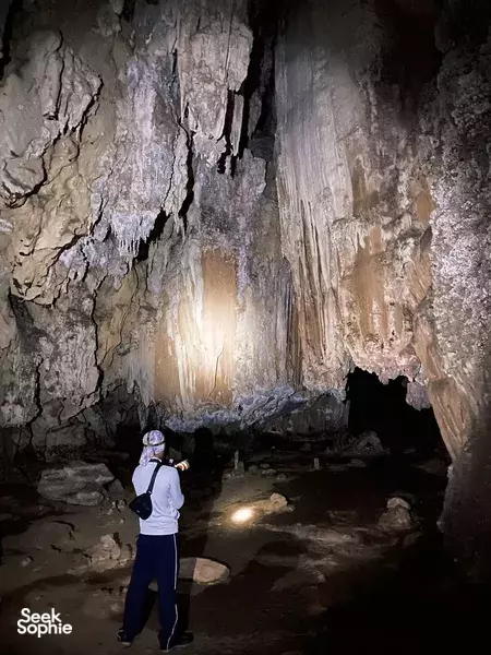 Khao Sok Day Trip With Expert Guide | Jungle Trek, Cave and Lake Exploration