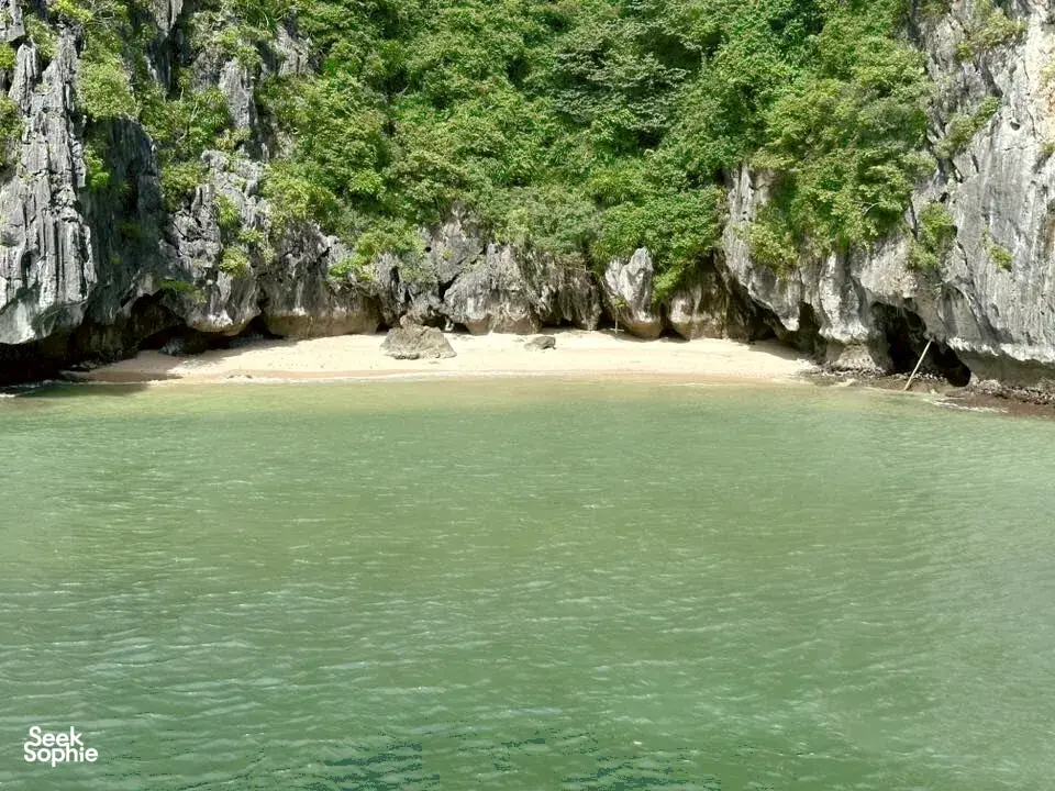 Seek Sophie option picture