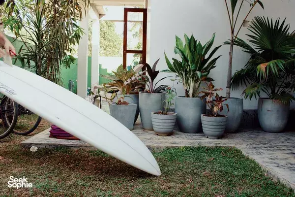 5D6N Intermediate Surf Camp