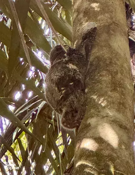 Bako National Park Day Trip | With Local Naturalist Guides