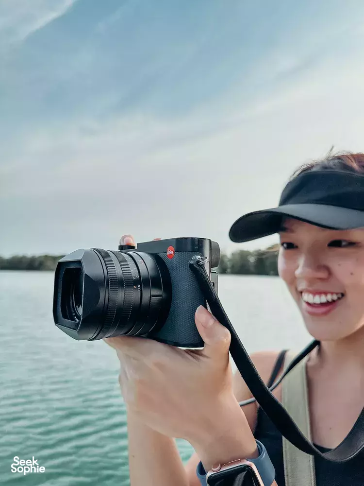 Seek Sophie option picture