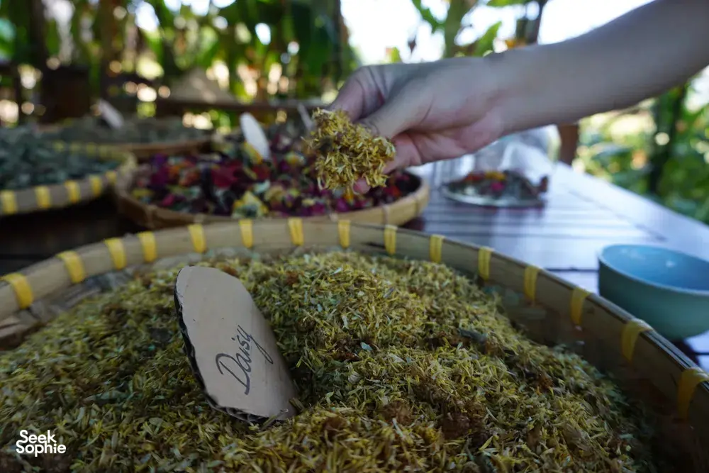 Seek Sophie option picture