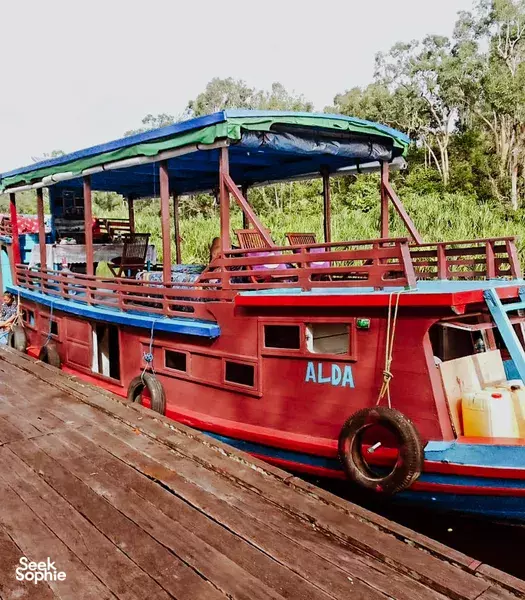 4D3N Tanjung Puting River Safari | Visit an Orangutan NGO