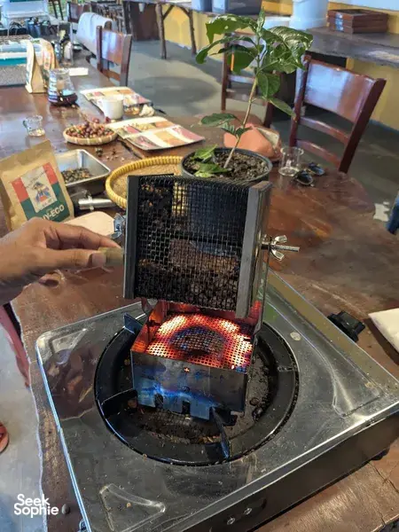 大叻有机咖啡品鉴,来自农夫的体验