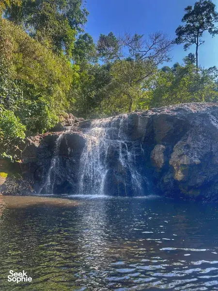 Waterfall cascading into a calm pool in Khao Yai National Park, framed by jungle trees on a wildlife trekking day trip