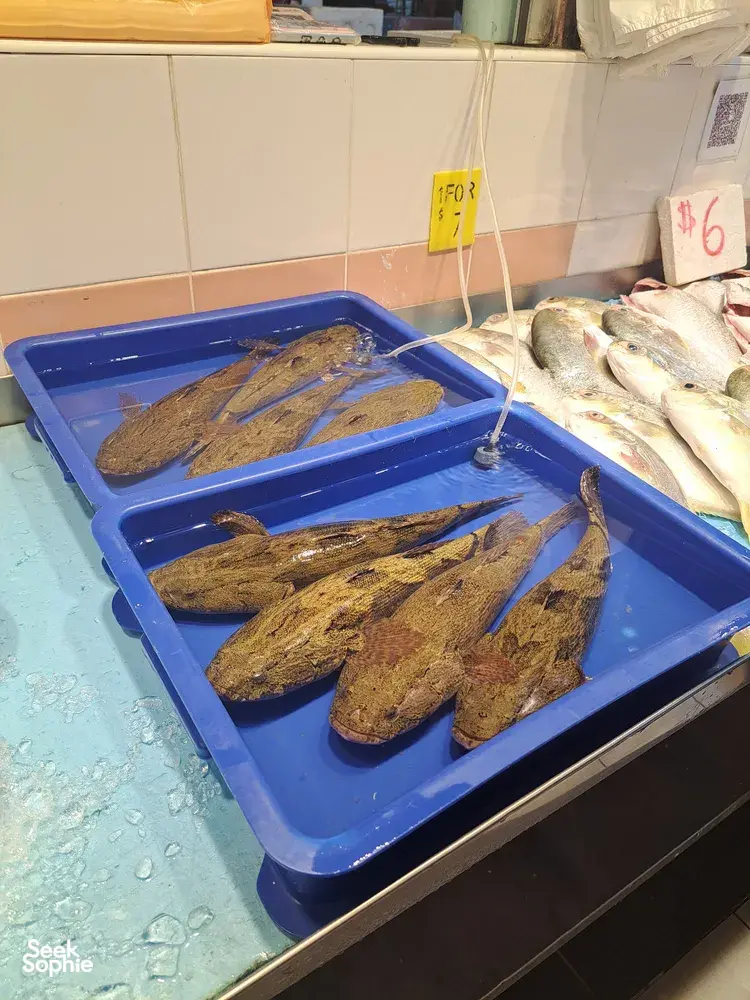 Ikan seekor di dalam peti plastik biru di pasar ikan Singapura, salah satu persinggahan dalam lawatan Pasar Fish Chinatown berbahasa Kantonis