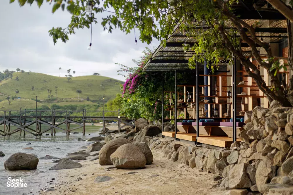 Seek Sophie option picture