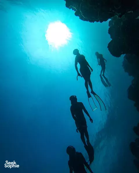 2日自由潜水课程|适合新手的顶级教练带你入门