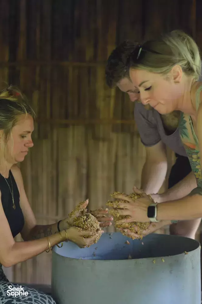 Seek Sophie option picture