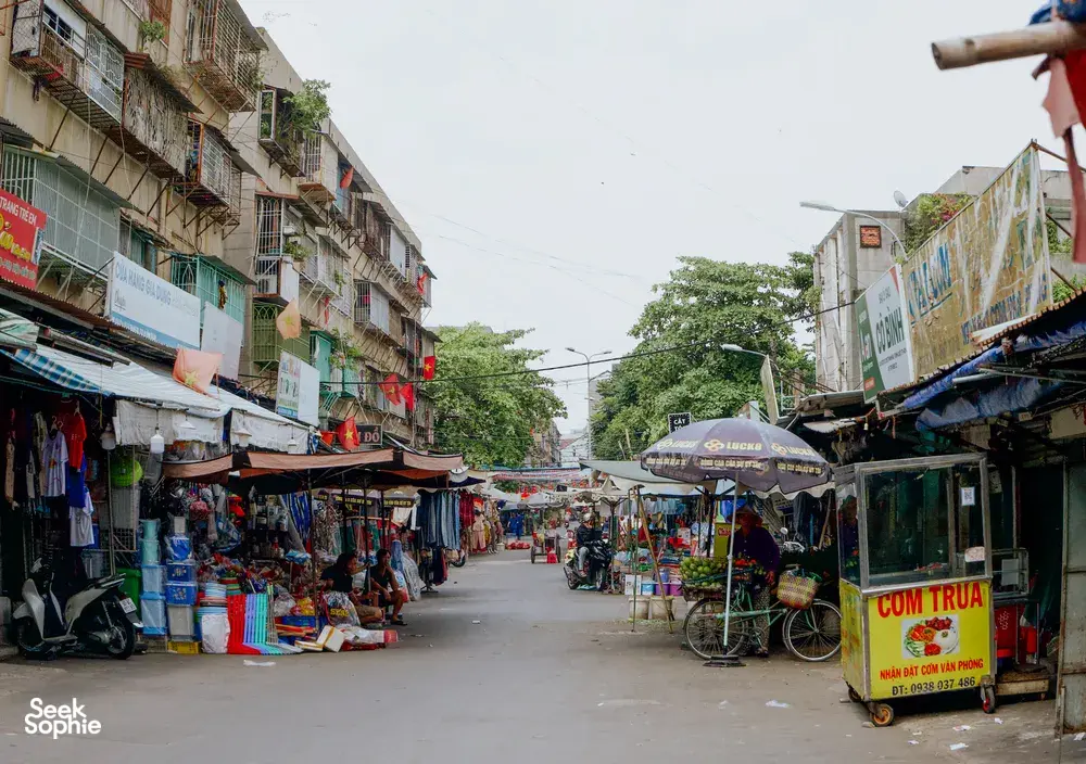 Seek Sophie option picture