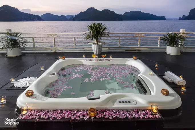 Seek Sophie option picture