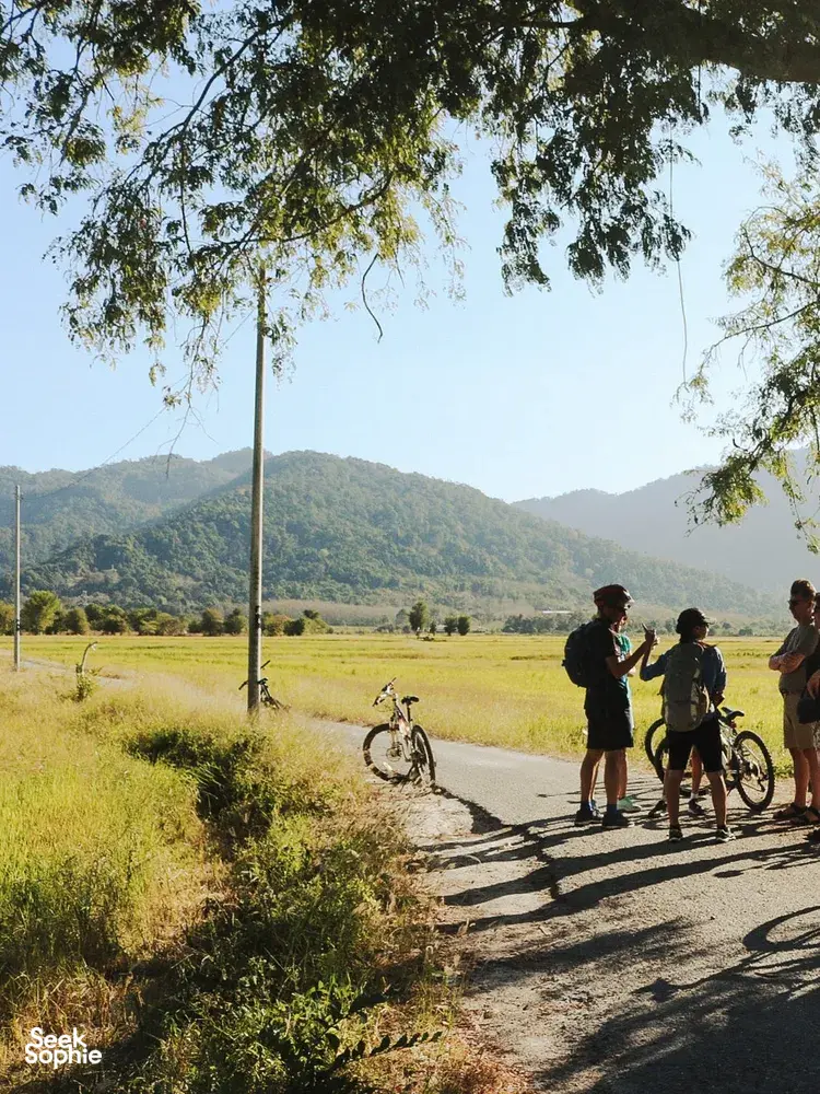 Cyclists pause on a quiet country road in Langkawi, with bikes beside tall grass under overhanging trees inland