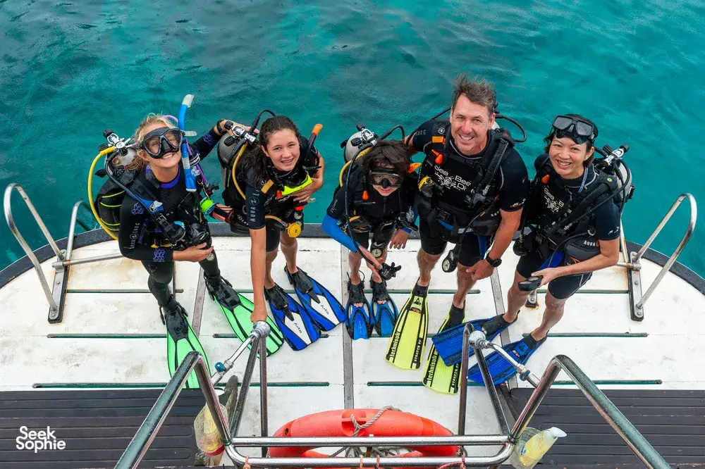 Seek Sophie option picture