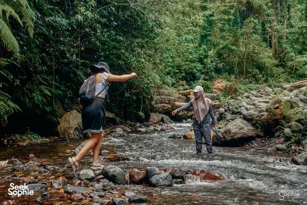 2H1M Camping di Pergasingan Hill | Bisnis Dipimpin Wanita di Rinjani