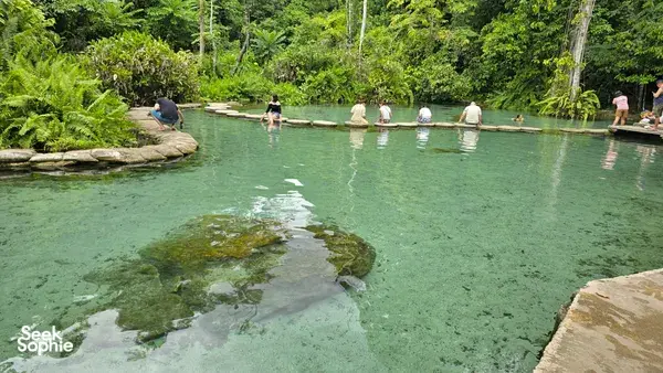 Swimmers wade in clear turquoise Blue Spring water with a log platform during a private swim in Khao Sok National Park