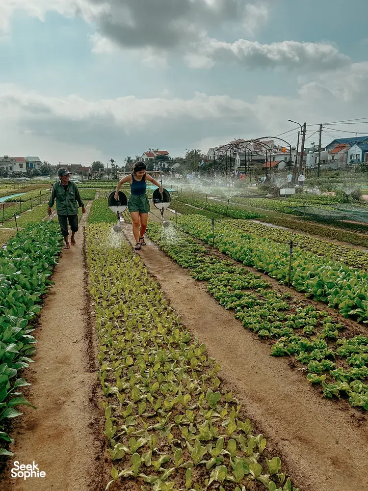 Seek Sophie option picture