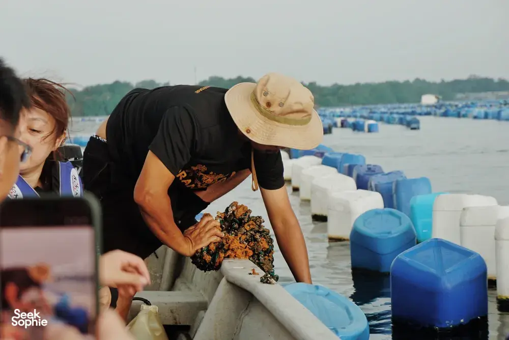 Marine livelihood coastal work on a pier in Johor Bahru, with Young Nautilus guests sorting seafood beside floating tanks