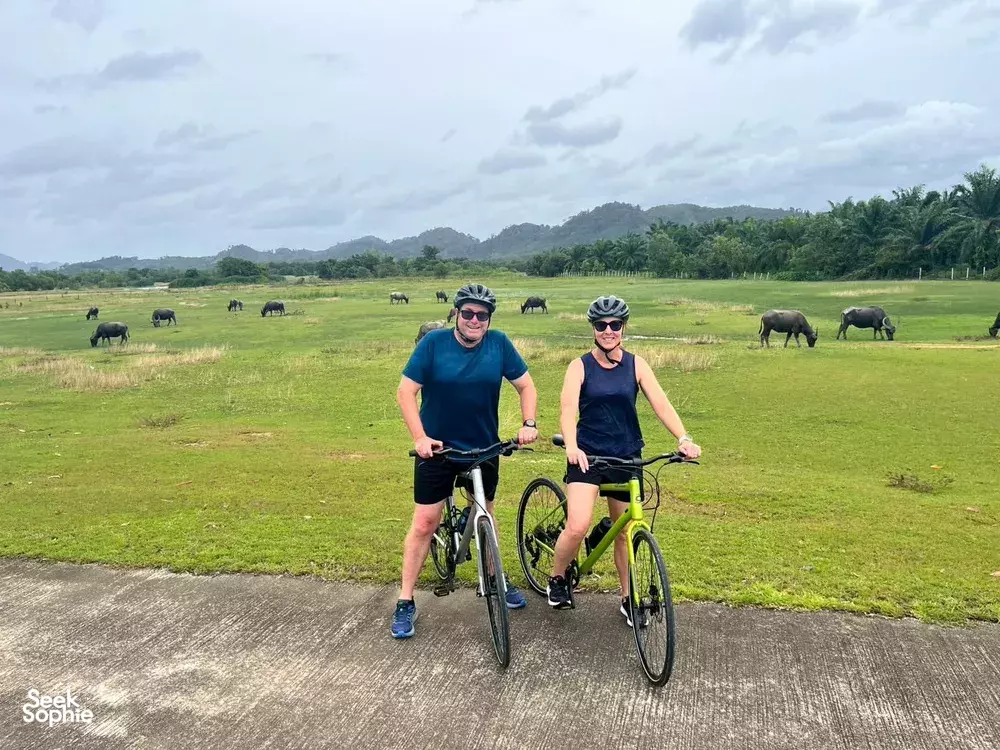 Seek Sophie option picture