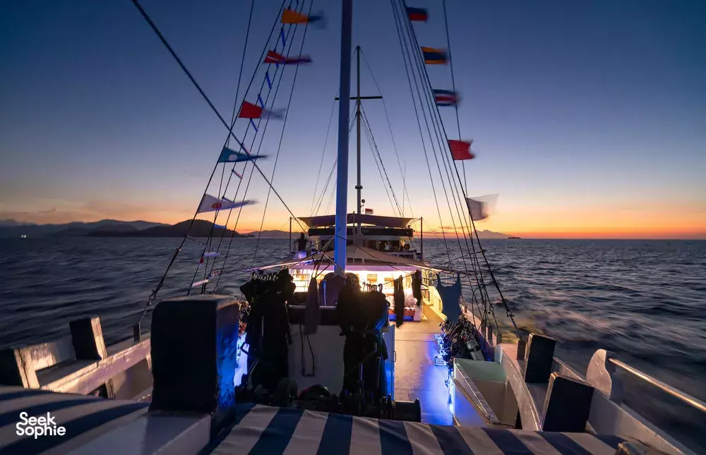 Seek Sophie option picture