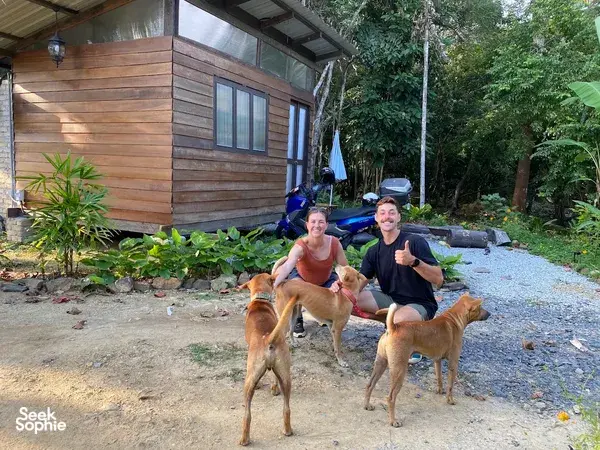 People relaxing with several dogs in front of a wooden cabin amid greenery at Kebun Lidstari permaculture farmstay in Langkawi