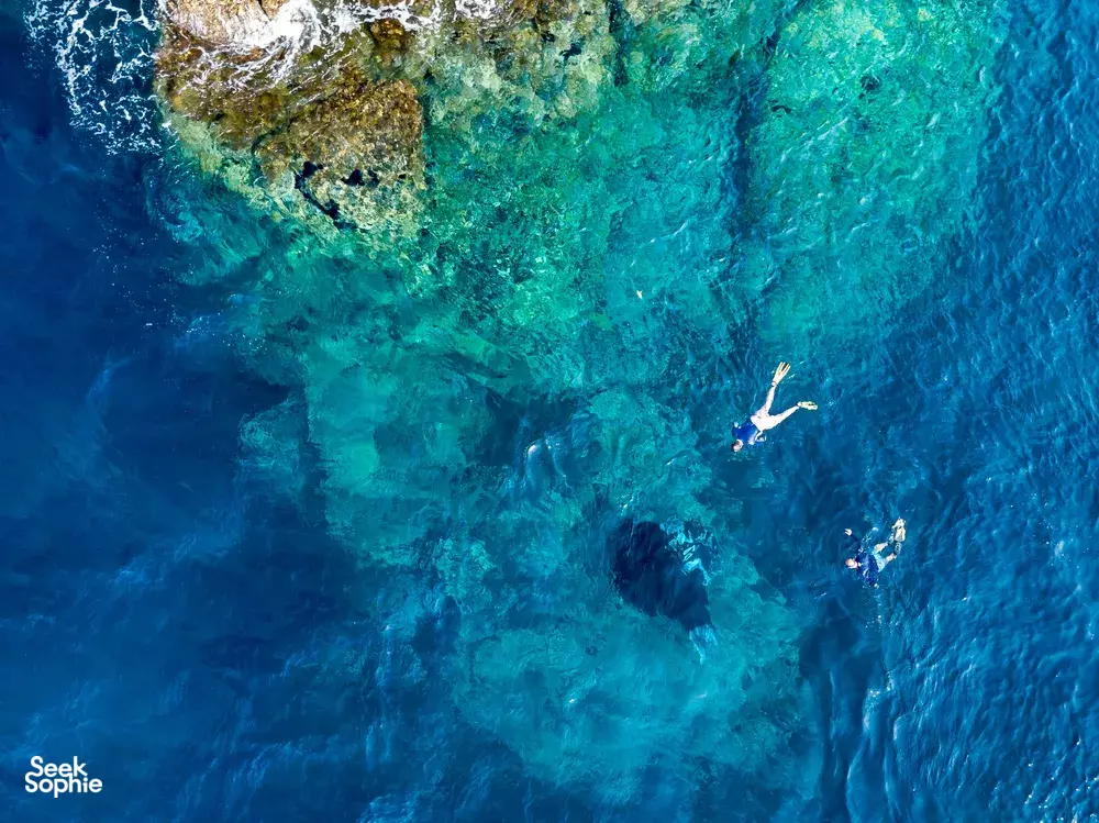 Seek Sophie option picture