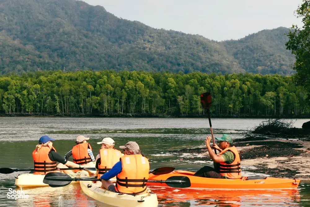 Travellers in orange life jackets kayaking past mangrove-lined shores on Langkawi waters during a guided nature trip