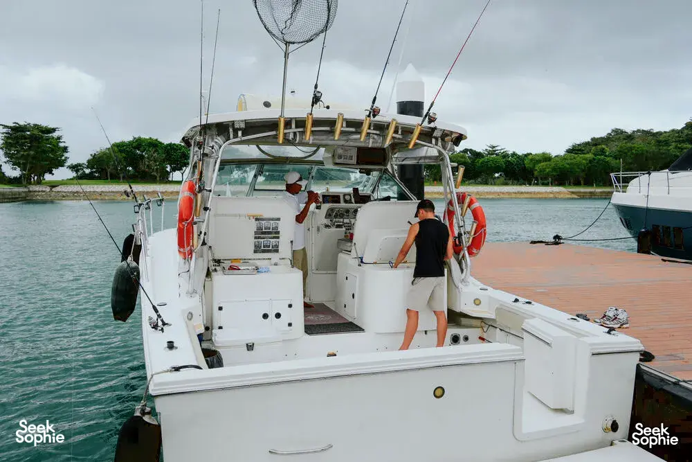 Seek Sophie option picture